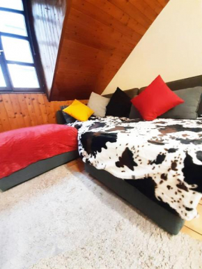 Jolie Chambre -Appart Partagé- Annecy Centre - 5 min Gare & Lac - GRATUIT- Wifi, Petit Dej, Serviettes, Velos